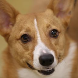 photograph by PeterW